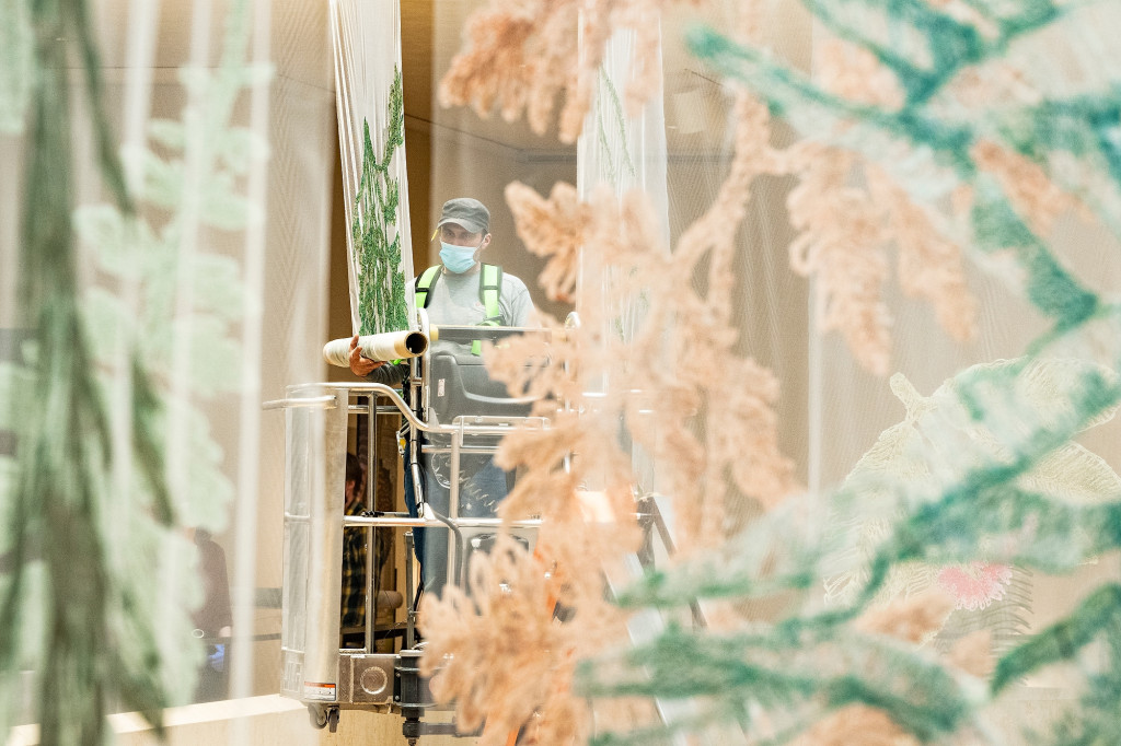 Gauzy banners of pastel lace in green and peach hang from the Chazen Museum of Art’s ceiling. Amidst the tapestries, a worker unspools a lace panel during the exhibit’s installation.