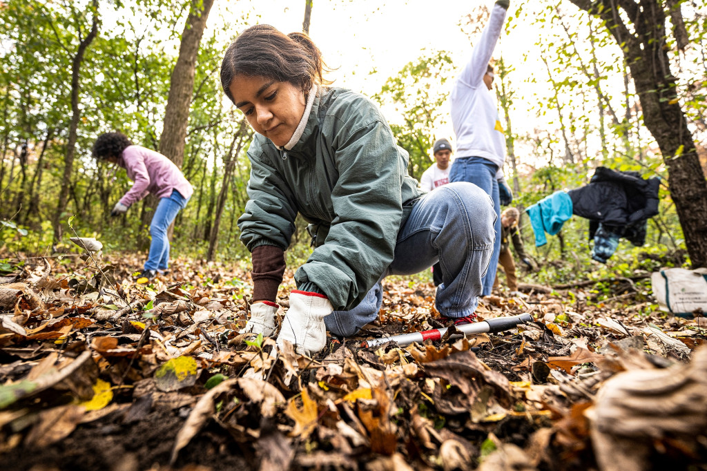 A woman kneels on the ground and digs in the soil and fallen leaves with gloved hands. Classmates behind her engage in similar work.