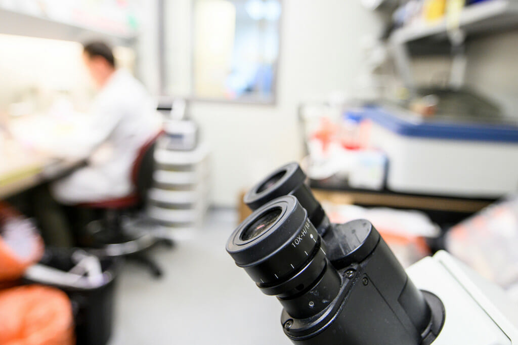 A close-up on a microscope's eye piece in a lab setting.