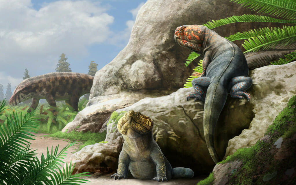 An illustration of a newly-named rynchosaur species. Two large terrestrial animals with iguana bodies and parrot-like faces climb on a rock face under a blue, sunny sky.