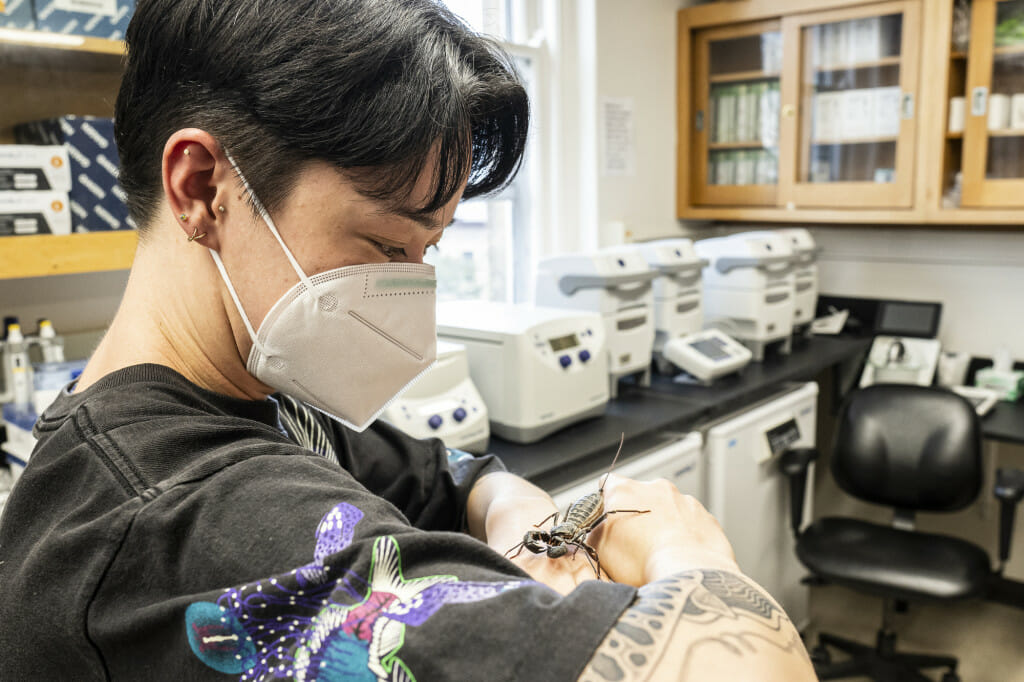 Imbler watches as a whip scorpion (Uropygi) crawls on their hands.