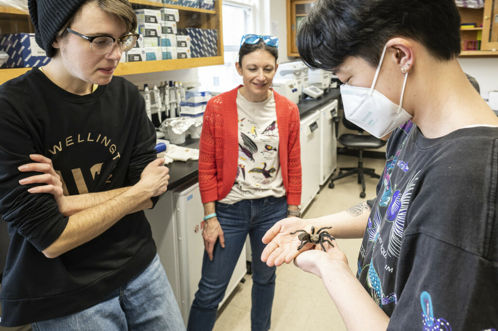 Imbler interacts with a tarantula (Araneae: Mygalomorphae) crawling on their hands as NSF graduate research fellow Emily Setton (left) and Director of Media Relations in University Communications Kelly Tyrrell (center) watch.