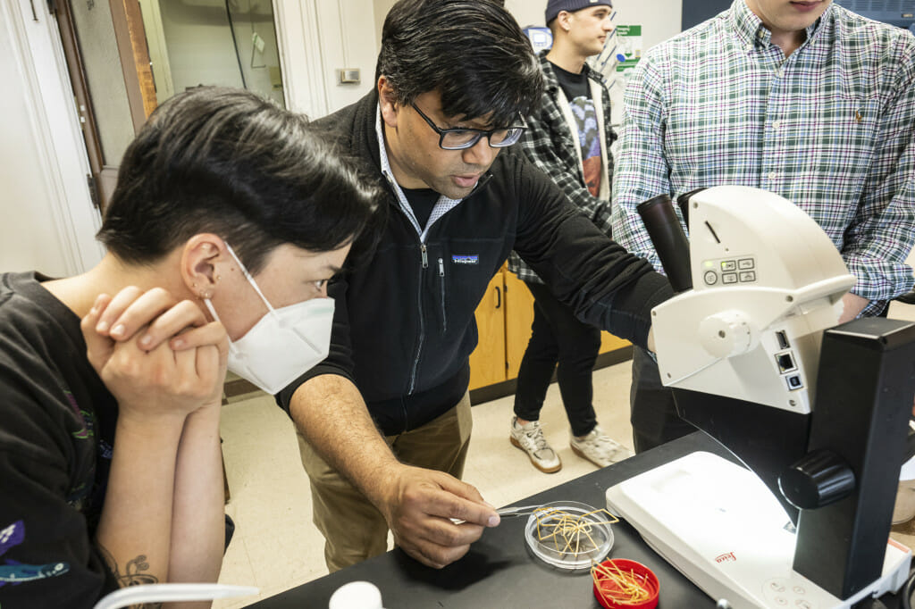 Imbler takes a closer look at a sea spider specimen with Prashant Sharma (right), associate professor in Department of Integrative Biology in his lab housed in Birge Hall.