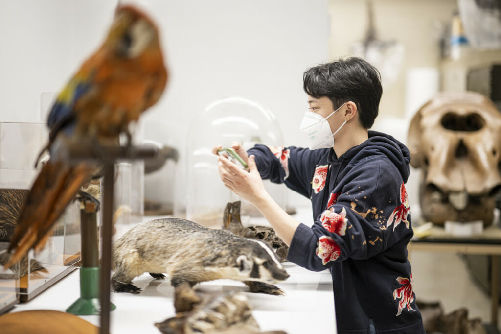 Imbler views a variety of preserved animal specimens in the UW Zoological Museum in the Lowell E. Noland Zoology Building.