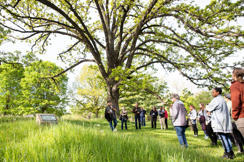 People walk through a woods.