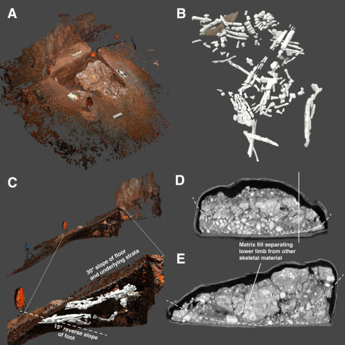 A composition of six images showing: a scan of the grave dug into the cave floor; a scan of the skeletal remains found in the grave; and four cross-section scans of grave remains.