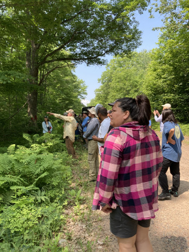 A group of people stand on a dirt road looking into a forest. In the center of the group, a man points into the forest while speaking to the group.