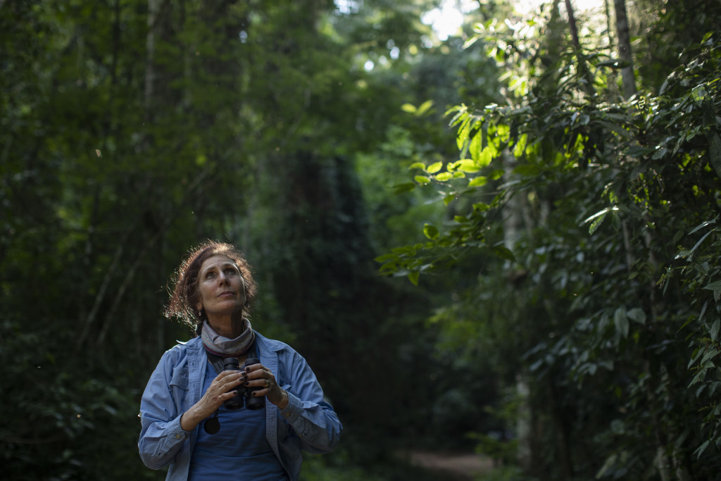 A woman holds binoculars away from her face as she looks up into a dense tree canopy.