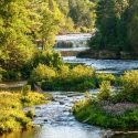 A flowing river.