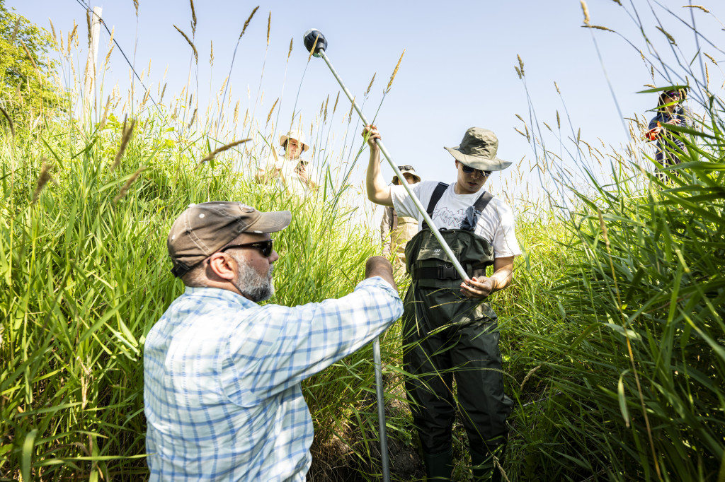 Two people manipulate a pole in a creek with tall grass surrounding them.