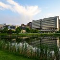 A mid-rise building with modern lines and bands of glass windows rises over a marsh on the UW campus.