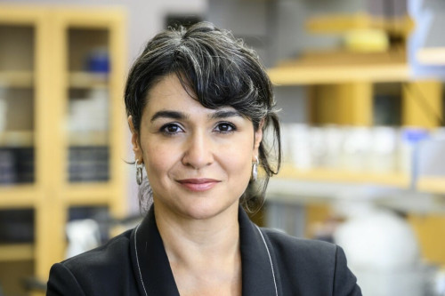 A headshot photo of Betül Kaçar in a laboratory setting.