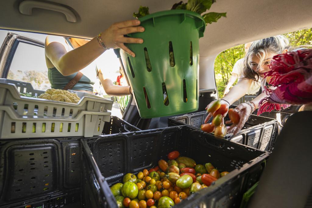 A close shot of hands lifting plastic crates filled with vegetables into the back seat of a car.