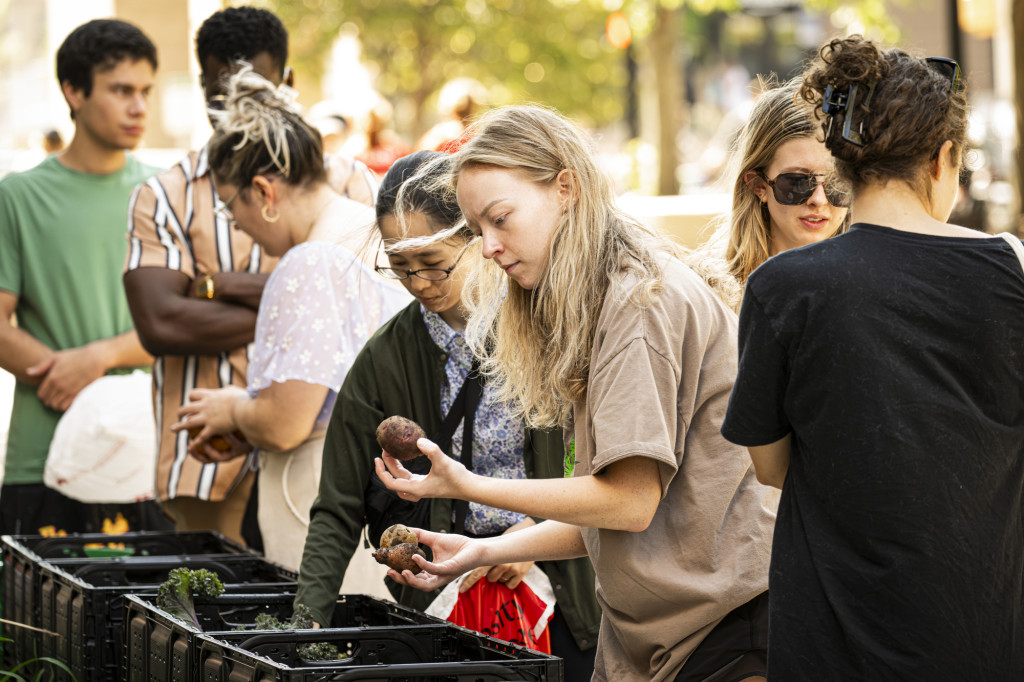 Students pick from plastic crates filled with vegetables.