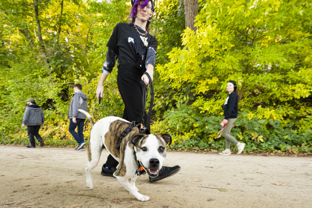 A person walks their dog along a dirt path with trees in the background. The dog leans forward toward the camera.