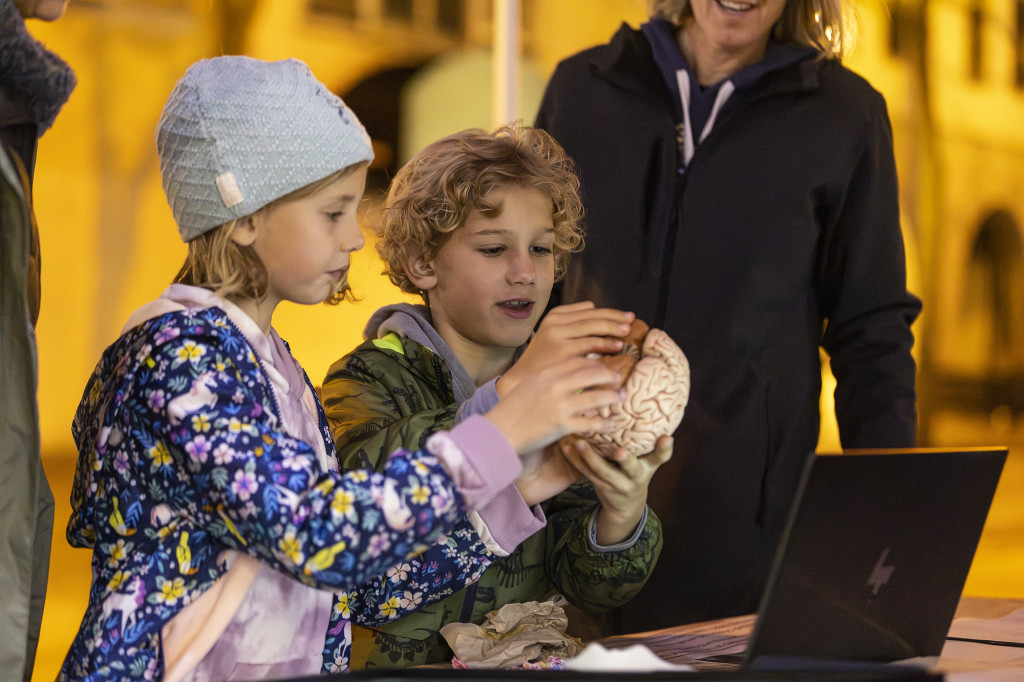 Two people hold up a monkey brain.