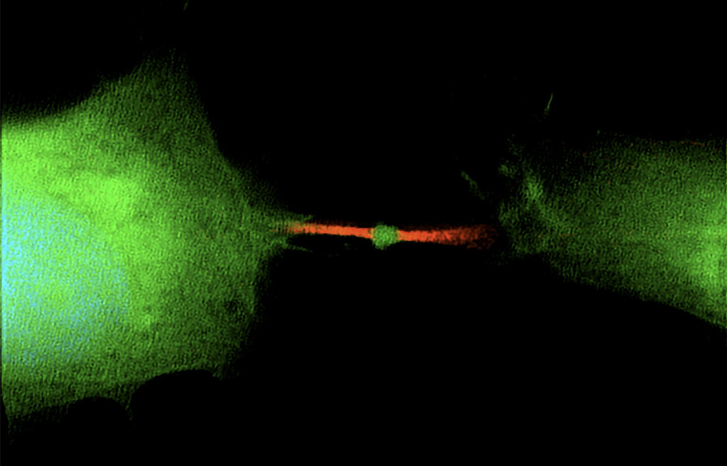 Against a black background, two spheres of hazy green light are connected by a narrow red line. At the center of line is a much smaller green sphere.