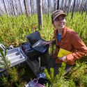 A person stands in the woods with research equipment.