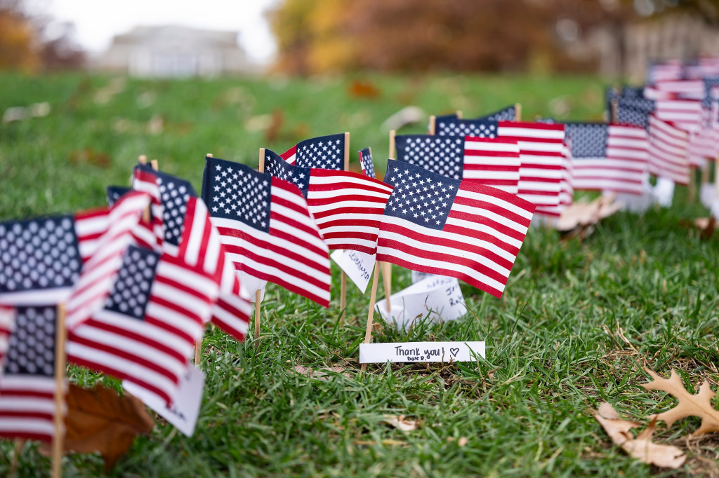 Flags planted in the grass wave in the wind.