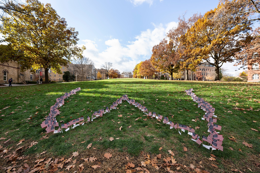 Flags are placed in grass.