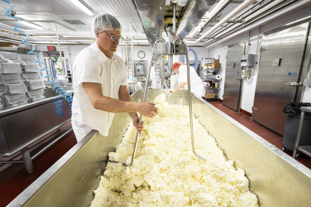 A man mixes a large vat of curds.