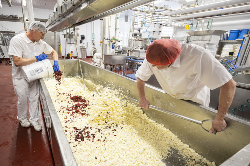 Two people scoop red berries into yellow cheese curd.