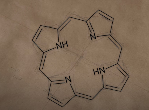 A photo pf a pencil and pen drawing on paper. The paper shows the interlocking hexagons that form a porphyrin ring.