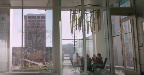 A view of the same location. Elmer is now gone. Inside the glass-walled meeting room, the art installation made with wood from Elmer hangs from the ceiling.