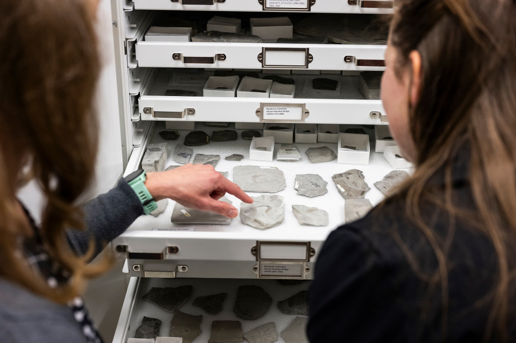 A photo from behind showing two women handling rocks in a drawer.