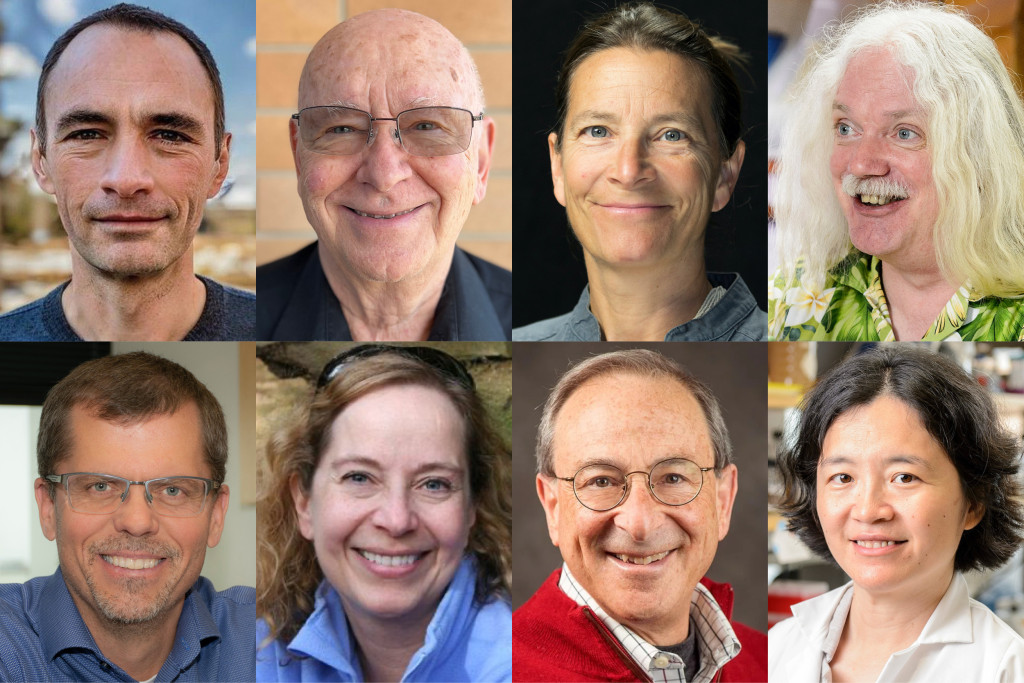 Headshot photos arranged in two rows of four show this year's six AAAS Fellows from UW–Madison.