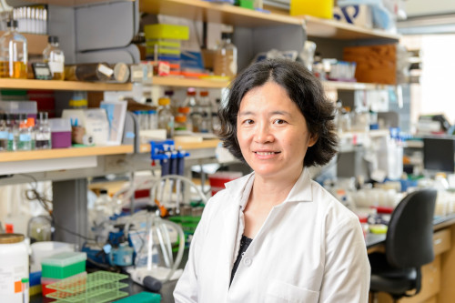 Photo of Jue Wang standing in a laboratory