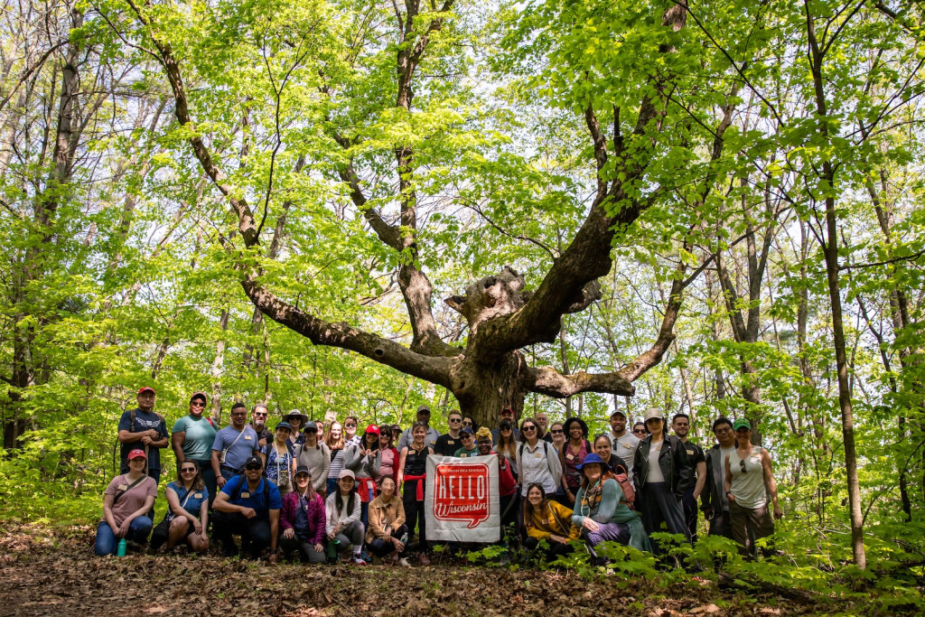 A group gathers under a huge tree.