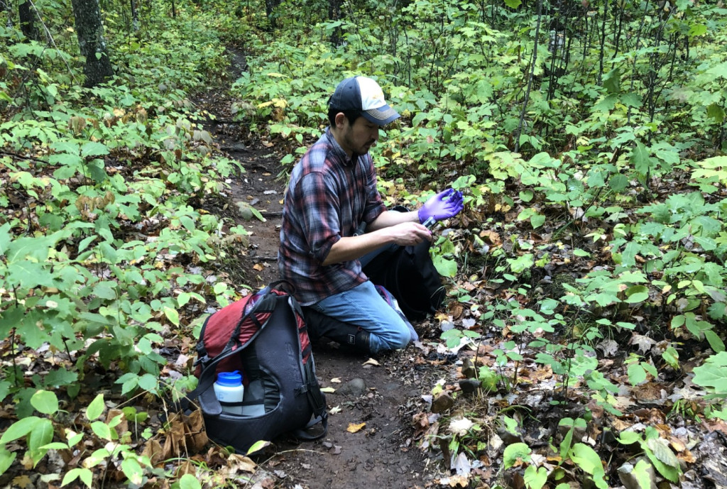 A man crouches on the forest floor and pulls hair from a trap.