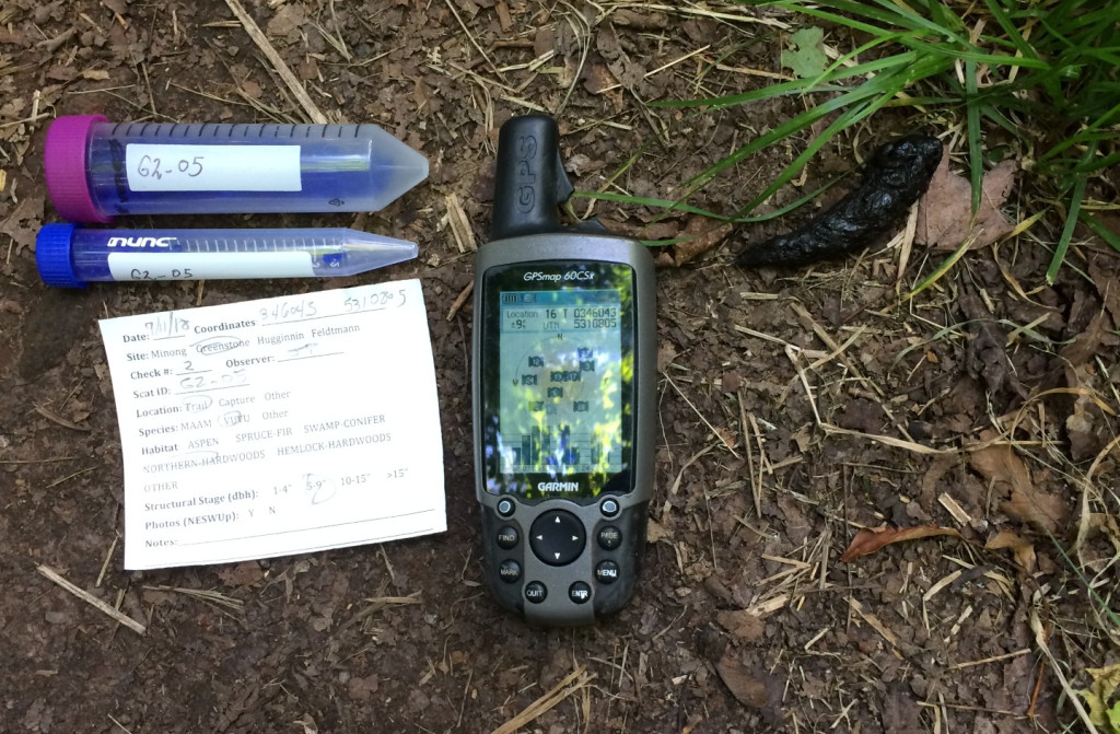 A laptop and other equipment are shown on the forest floor.