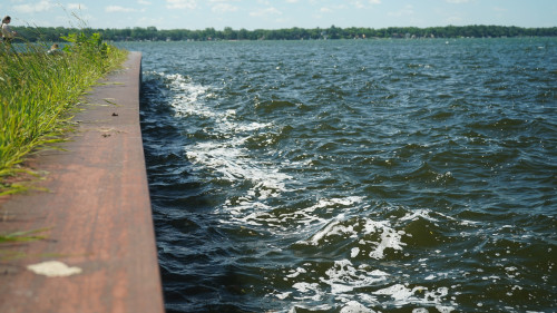 Foam at the edge of a lake is pictured.