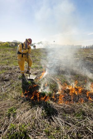 Some people stand in a field of wildflowers and start them on fire.