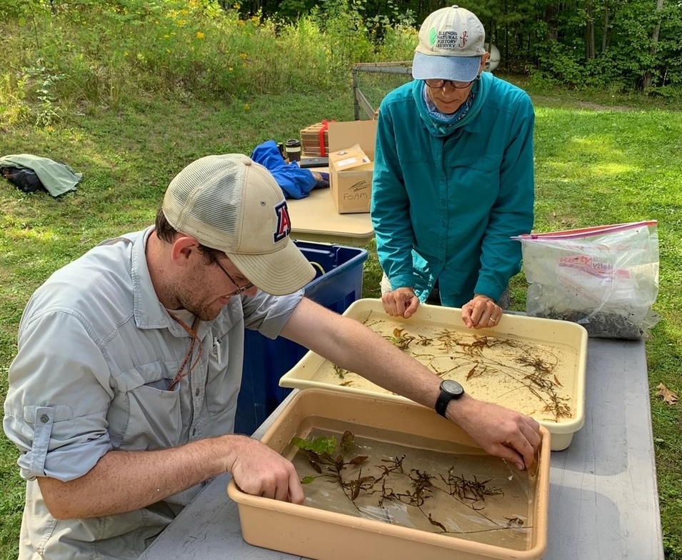 A man files away specimens in a box while another person watches.