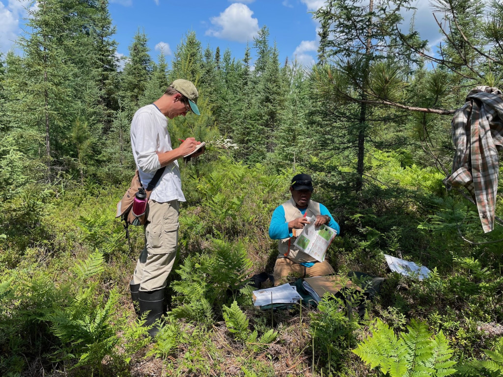 Two people work in an open field in a forest, writing on paper.