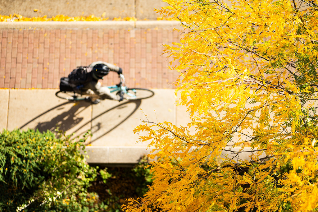 An overhead view of a cyclist making his way down a sidewalk with autumn leaves around him.