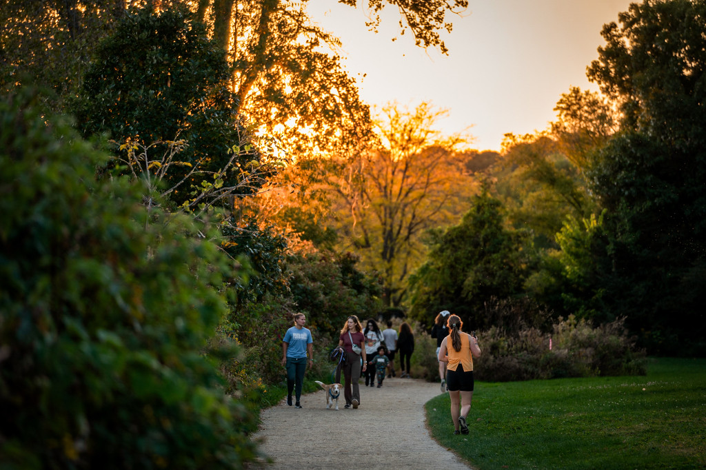 Pedestrians walk under colorful trees lit up by sunlight.