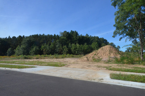 An empty field is shown, with a blacktop road next to it.