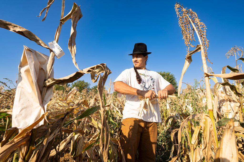 A man shucks an ear of corn as he stands in a cornfield.