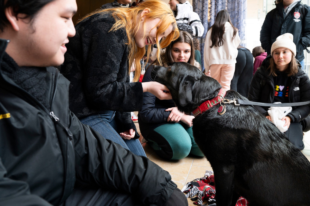 Several students pet a dog.