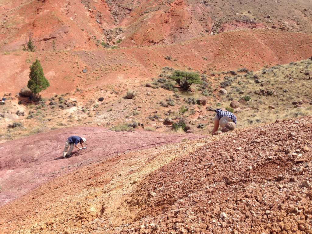 Two people are shown digging in the dirt in a desert.