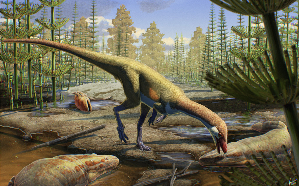 An illustration of a lizard-like dinosaur sipping from a puddle.